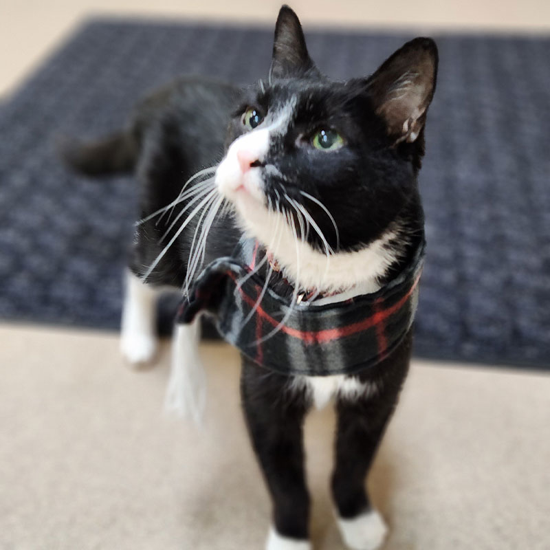 Small Animal Waseca Vet Clinic