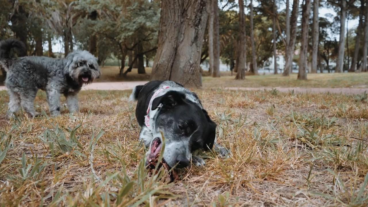 About Us Waseca Vet Clinic